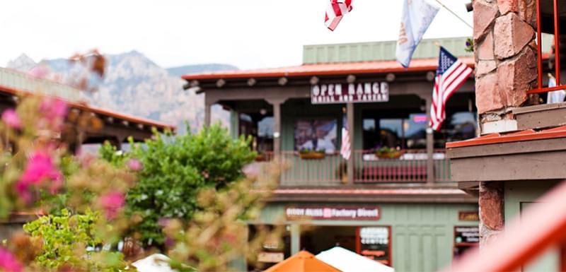 Дом с флагами Америки на фоне дерева